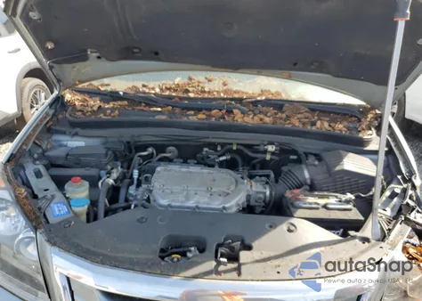 2009 Honda Odyssey Exl from USA, damaged, VIN 5FNRL38709B055368